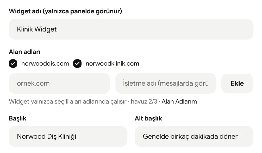 Genel ayarlar: widget adı, alan adları, başlık ve alt başlık alanları