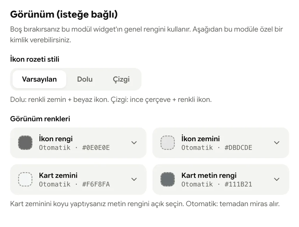 Görünüm bölümü: ikon rozeti stili ve dört renk seçici