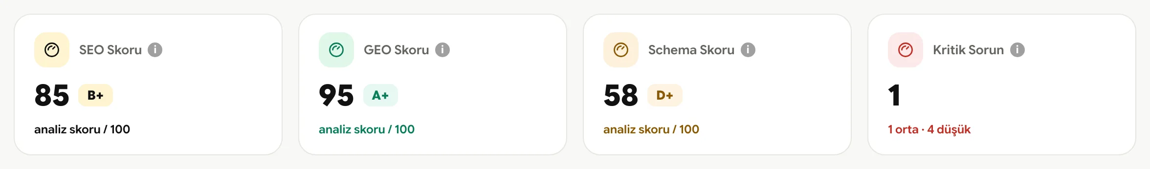 Analiz sonucu: SEO, GEO, Schema ve Performans skorları