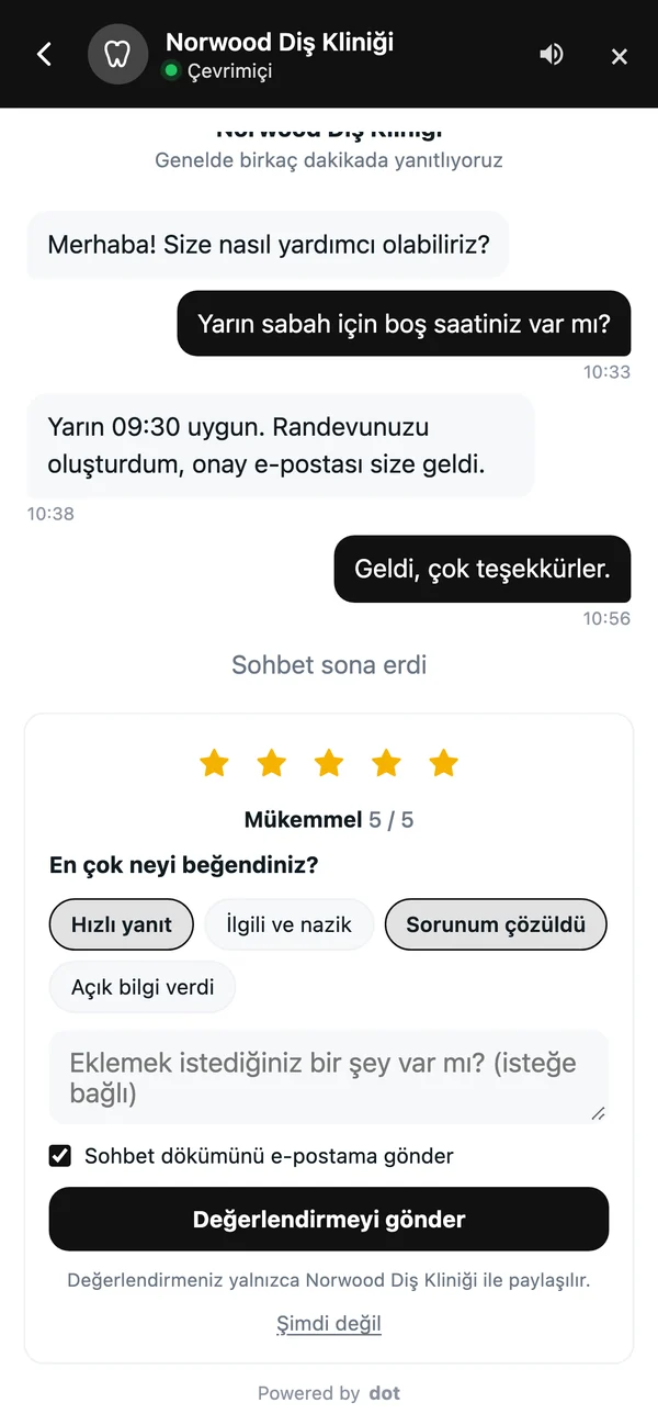 Sohbet sonunda değerlendirme ekranı: beş yıldız, beğenilen konular için seçenekler, yorum alanı ve sohbet dökümünü e-postayla isteme